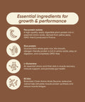 Rite Plant Protein - Chocolate 