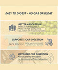 Rite Plant Protein - Vanilla 